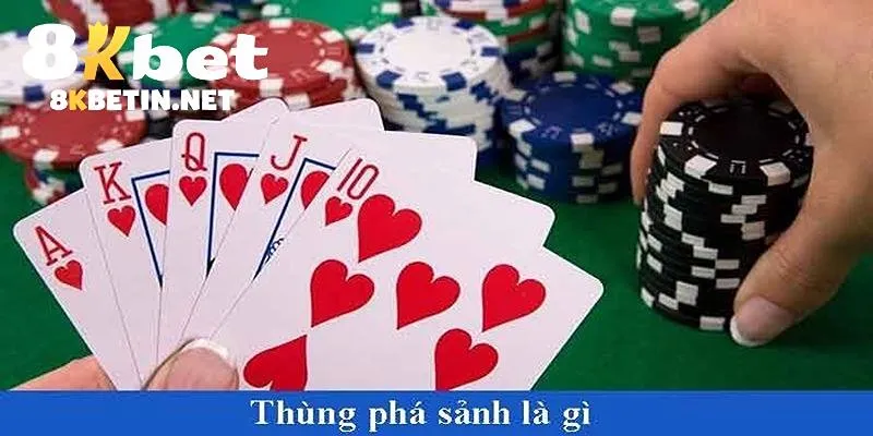 Thùng Phá Sảnh Là Gì - Giải Đáp Chi Tiết Từ 8kbet